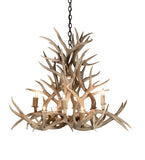 38"W Antlers Mule Deer 8 Lt Chandelier
