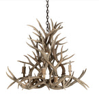 38"W Antlers Mule Deer 8 Lt Chandelier