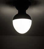 8.5" Huevo Contemporary Flushmount