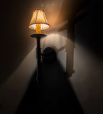 6"W Amada Rustic Lodge Wall Sconce