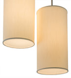 21"W Cilindro Suave 2 Lt Modern Pendant