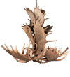 33"W Antlers Moose 10 Lt Chandelier
