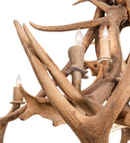 55"W Antlers Elk & Fallow Deer 10 Lt Chandelier