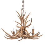 29"W Antlers 4 Lt Chandelier
