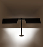 24"W Exeter 2 Lt Banker's Lamp
