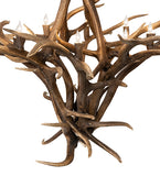 59"W Antlers Elk 8 Lt Chandelier