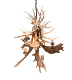28"W Antlers White Tail & Fallow Deer 4 Lt Chandelier