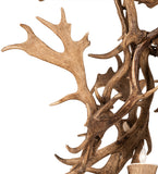 58" W Antlers Fallow Deer 12 Lt Chandelier