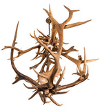 55"W Antlers Elk & Fallow Deer 10 Lt Chandelier