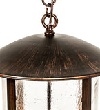 14"W Fulton Lake Charles Outdoor Pendant