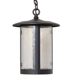 10"W Fulton Prime Outdoor Pendant