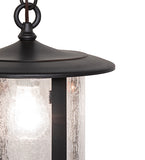 10"W Fulton Prime Outdoor Pendant