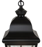 9"Sq Palmer Outdoor Pendant