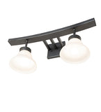 24"W Leya 2 Lt Vanity Light