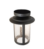 10"W Fulton Dragonfly Outdoor Flush Mount