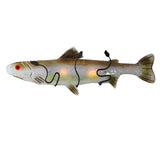 29"W Metro Fusion Rainbow Trout Wall Sconce